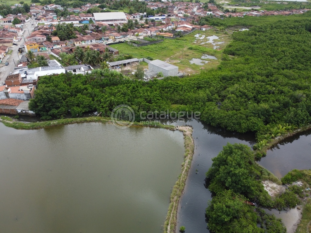 Canguaretama 500 Hectares