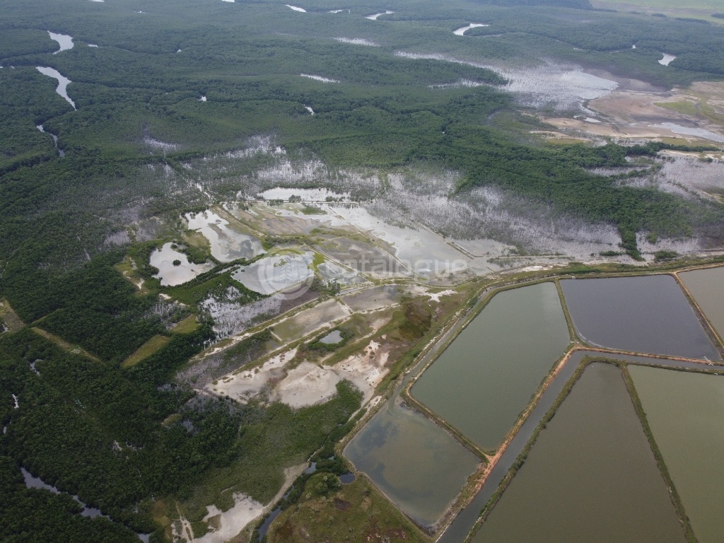 Canguaretama 500 Hectares