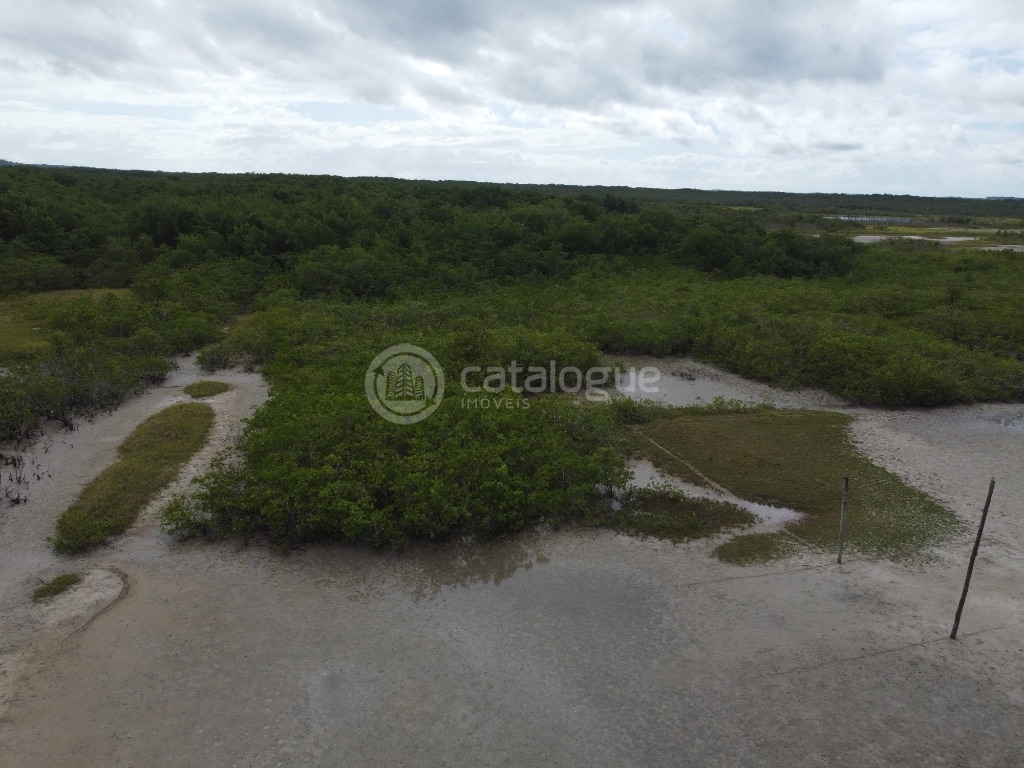 Canguaretama 500 Hectares