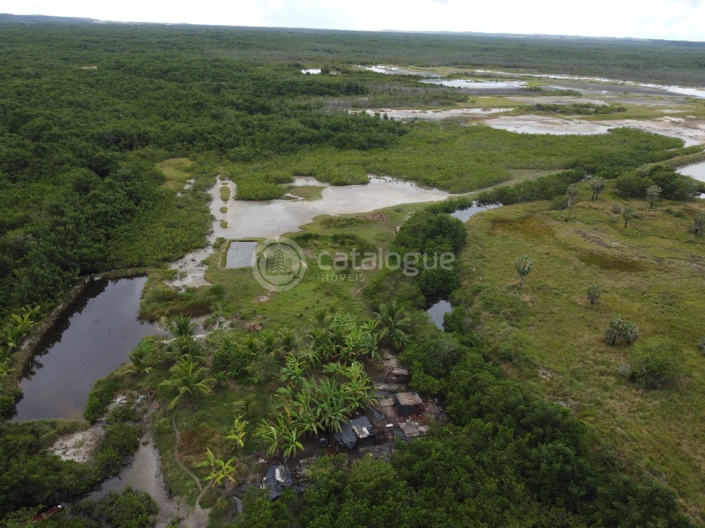 Canguaretama 500 Hectares