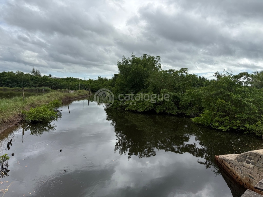 Canguaretama 500 Hectares