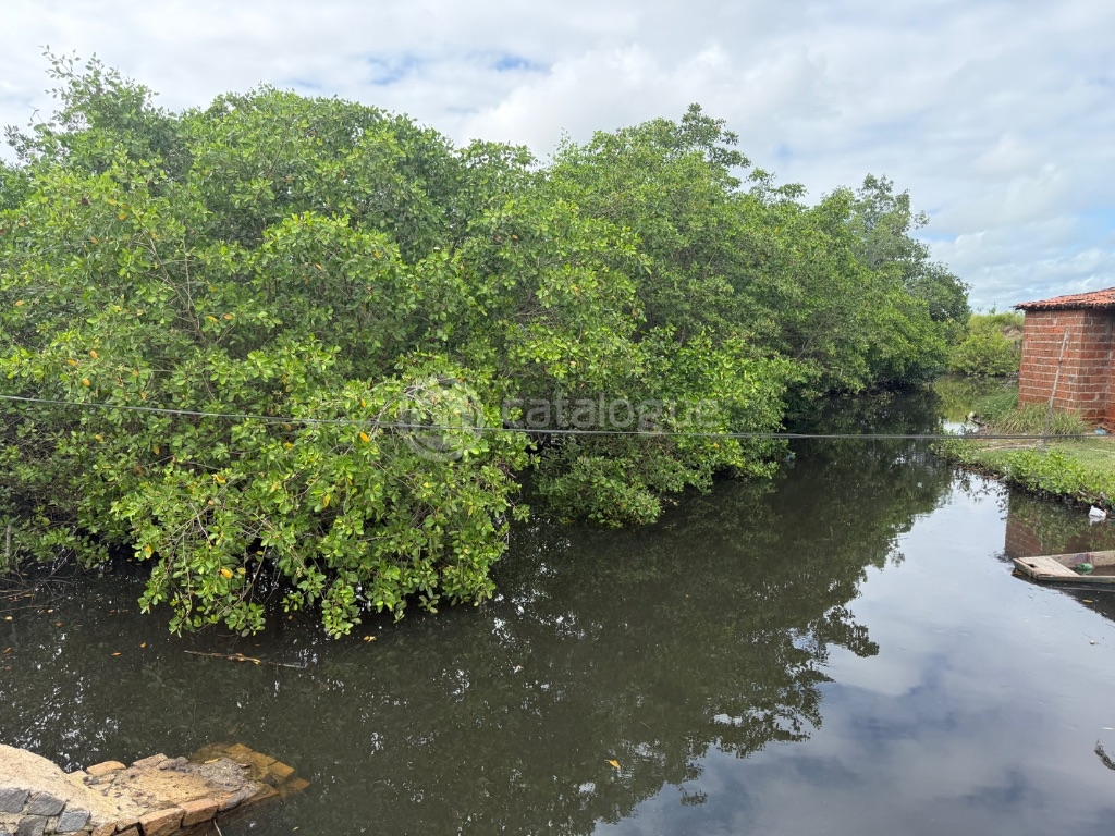 Canguaretama 500 Hectares