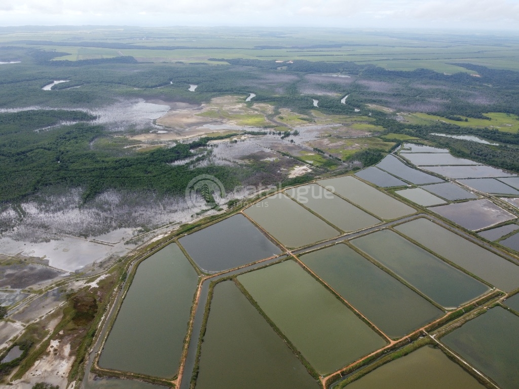 Canguaretama 500 Hectares