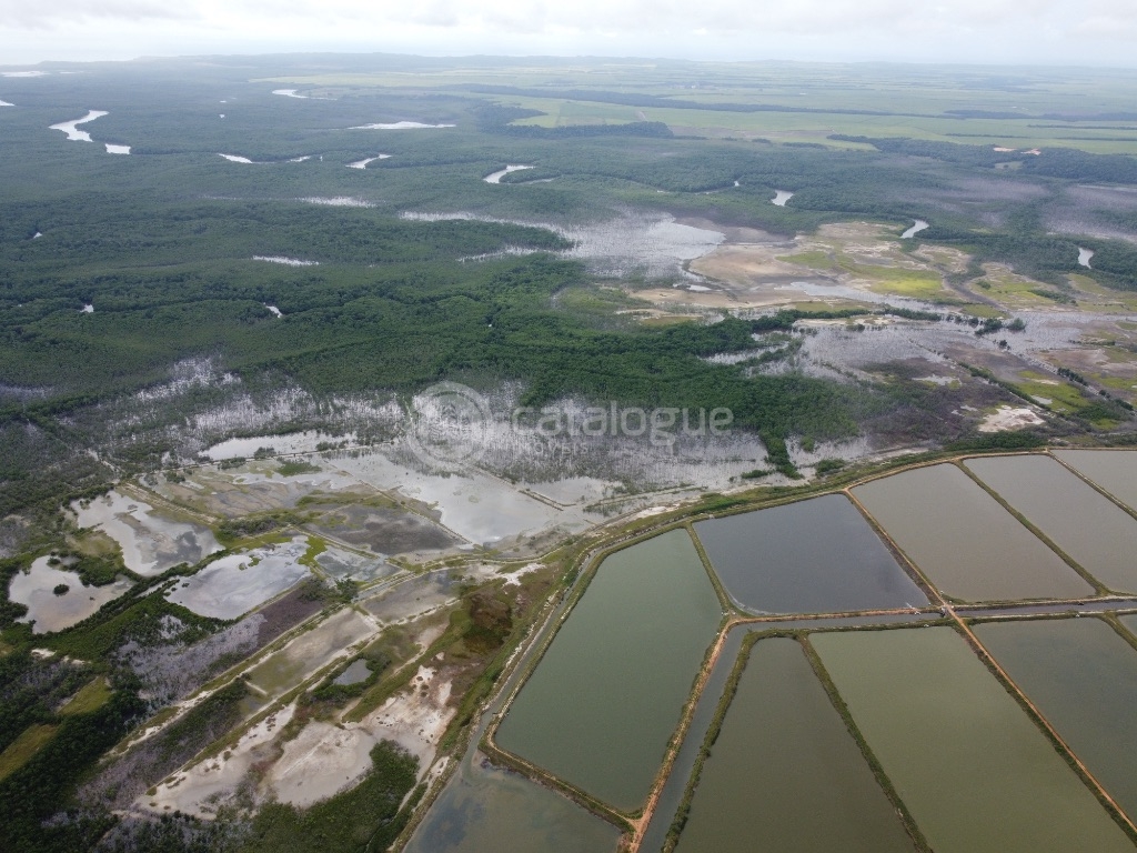 Canguaretama 500 Hectares