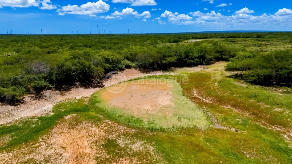 Fazenda em Macau 988 Hectares