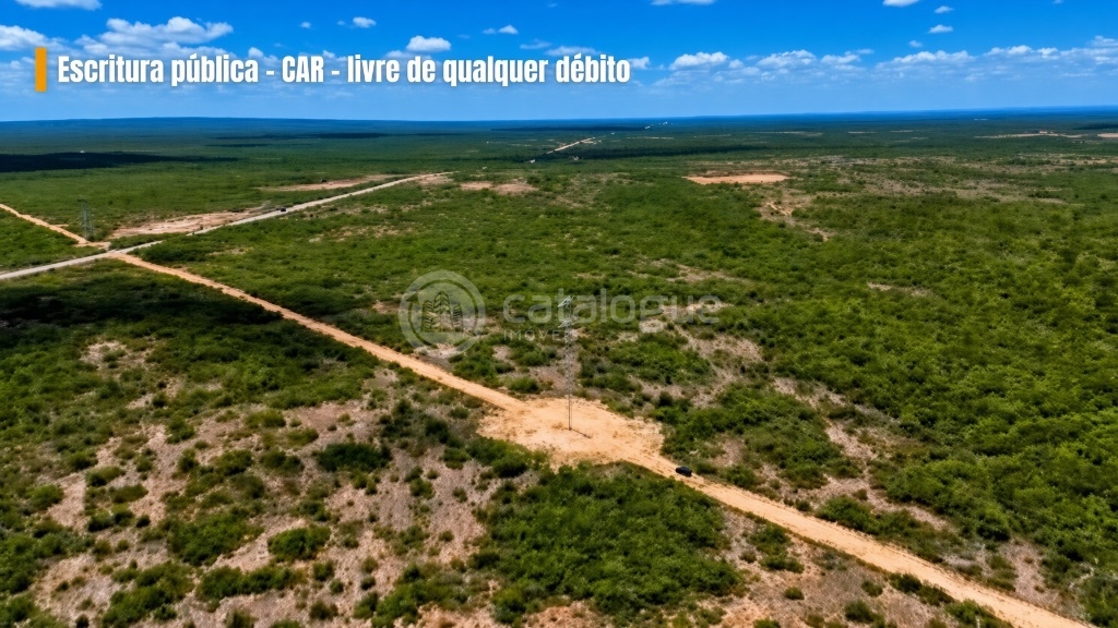 Fazenda em Macau 988 Hectares