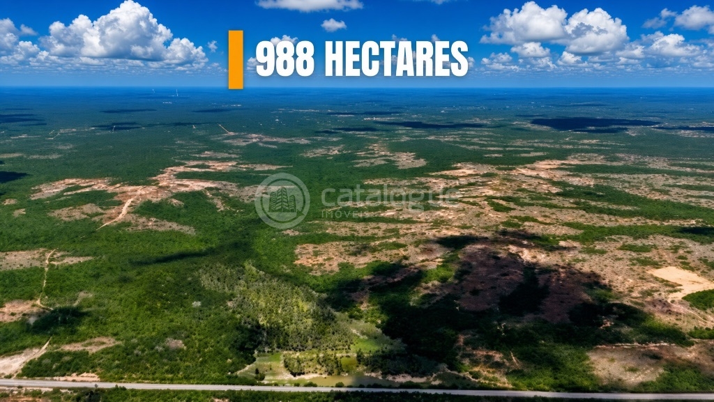 Fazenda em Macau 988 Hectares