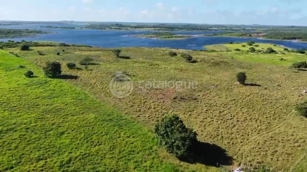 Fazenda em Poço Branco 239 ha