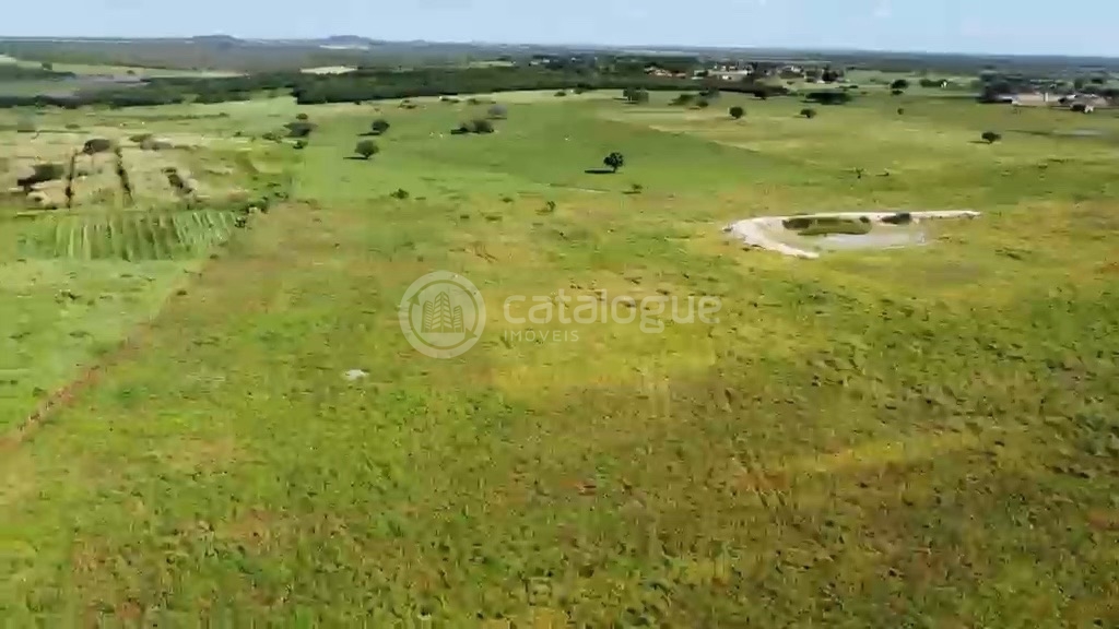 Fazenda em Poço Branco 239 ha