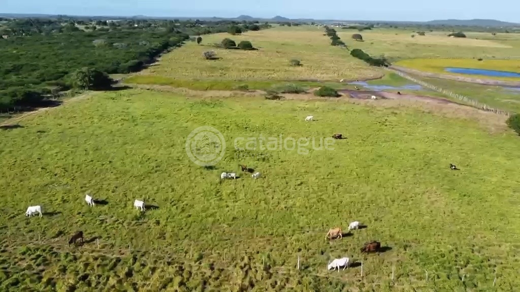 Fazenda em Poço Branco 239 ha