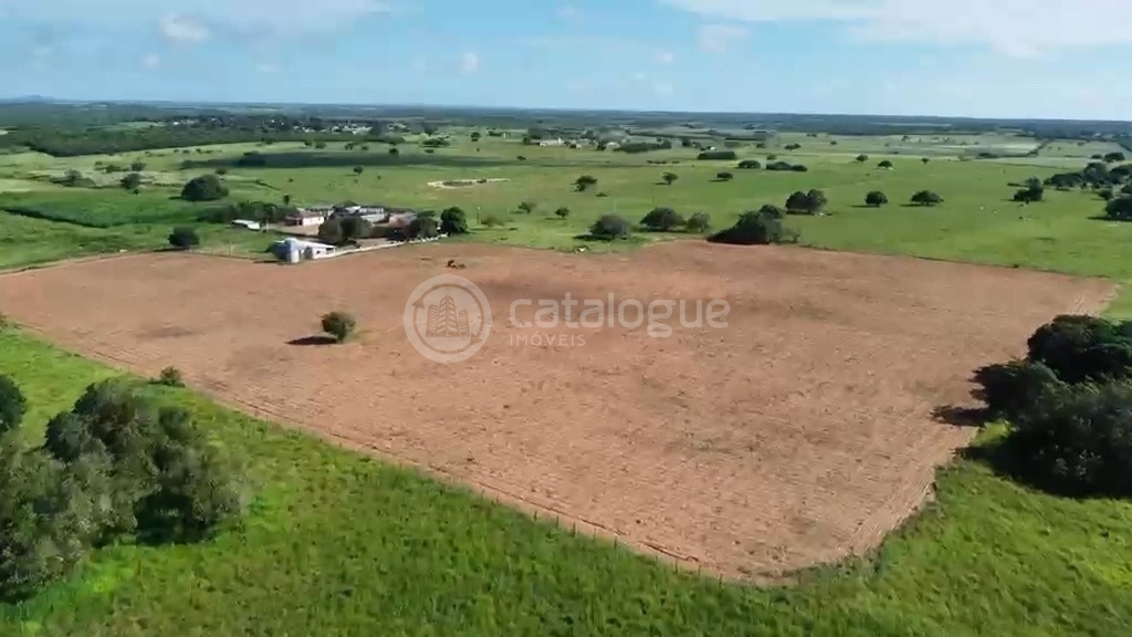 Fazenda em Poço Branco 239 ha