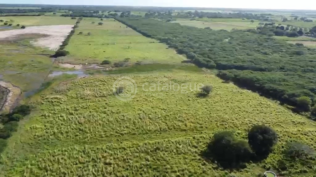 Fazenda em Poço Branco 239 ha