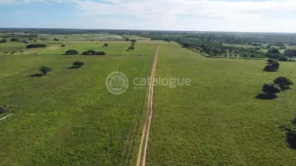 Fazenda em Poço Branco 239 ha