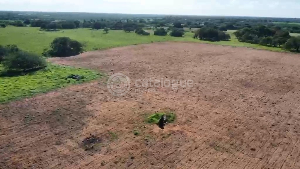 Fazenda em Poço Branco 239 ha