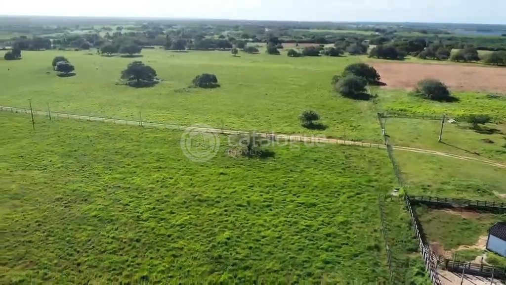 Fazenda em Poço Branco 239 ha