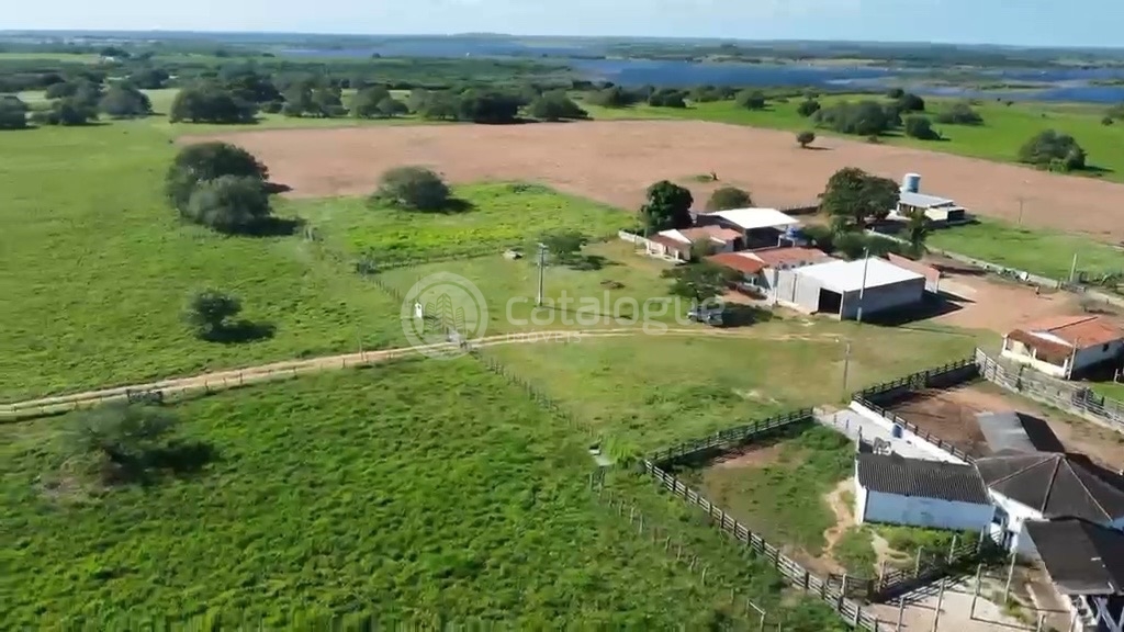 Fazenda em Poço Branco 239 ha