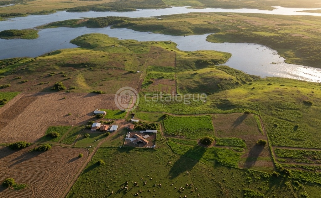 Fazenda em Poço Branco 239 ha