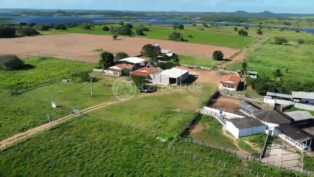 Fazenda em Poço Branco 239 ha
