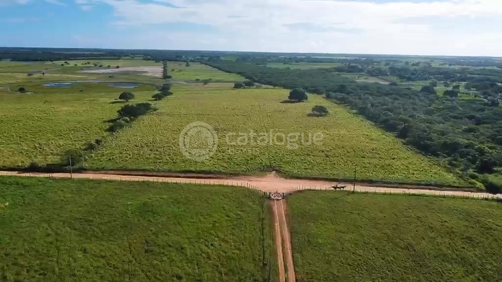 Fazenda em Poço Branco 239 ha