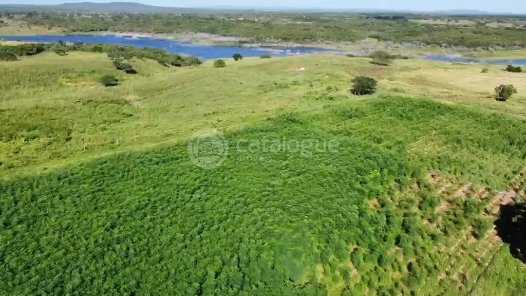Fazenda em Poço Branco 239 ha