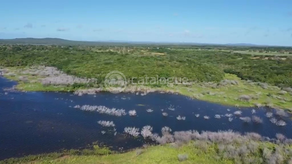 Fazenda em Poço Branco 239 ha