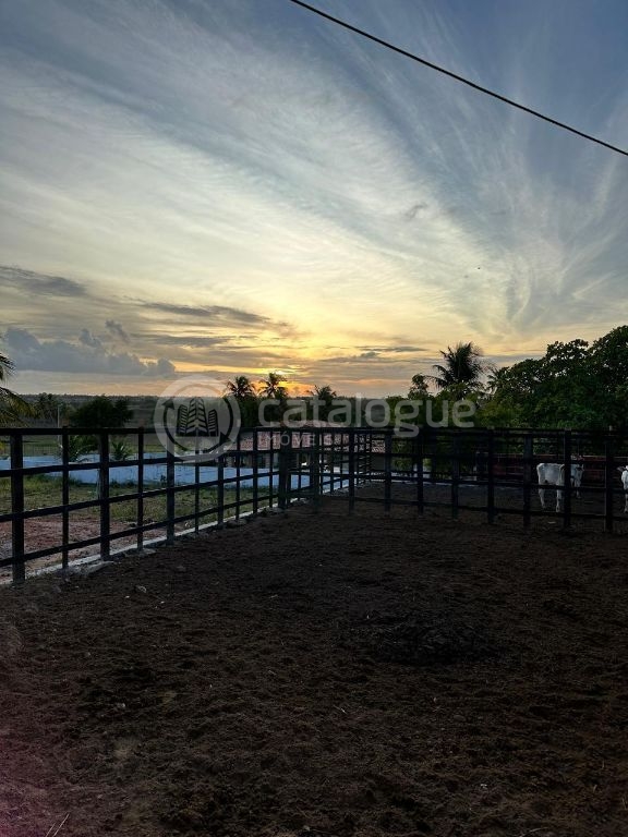 Sítio em Monte Alegre/RN 10,8 Hectares Porteira Fechada