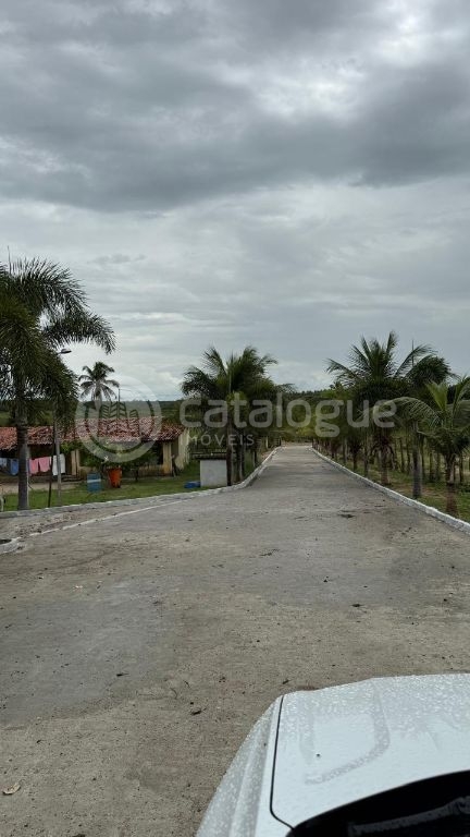 Sítio em Monte Alegre/RN 10,8 Hectares Porteira Fechada
