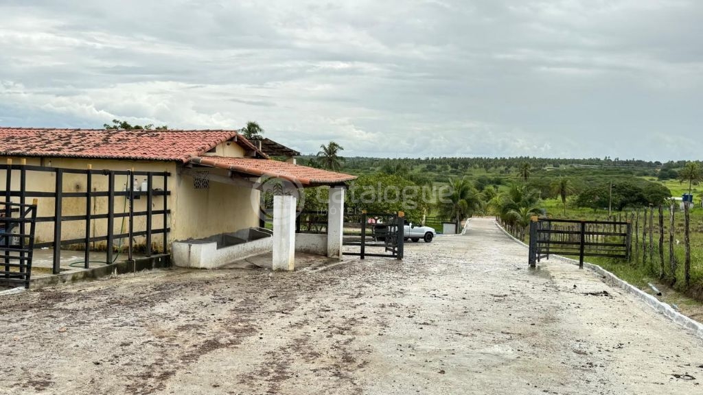 Sítio em Monte Alegre/RN 10,8 Hectares Porteira Fechada