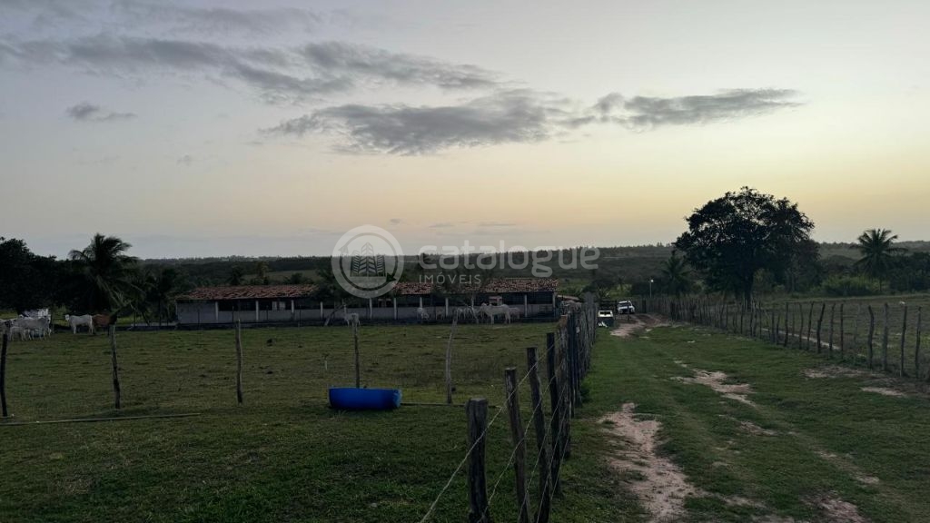 Sítio em Monte Alegre/RN 10,8 Hectares Porteira Fechada