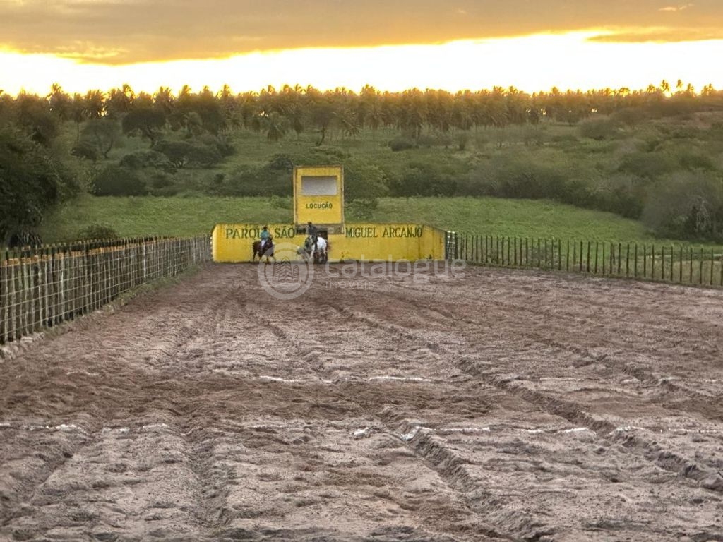 Sítio em Monte Alegre/RN 10,8 Hectares Porteira Fechada