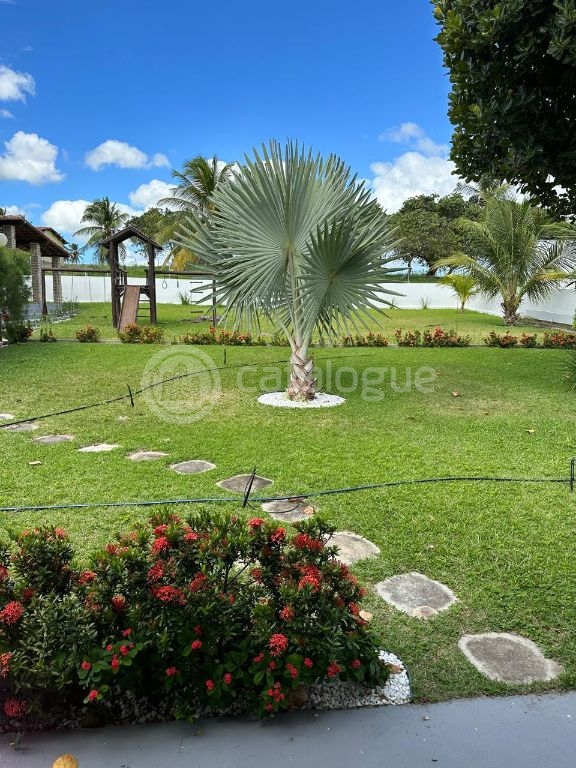 Sítio em Monte Alegre/RN 10,8 Hectares Porteira Fechada