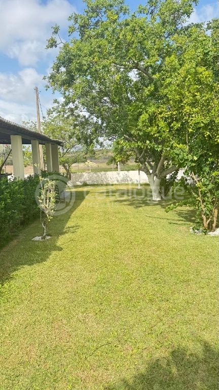 Sítio em Monte Alegre/RN 10,8 Hectares Porteira Fechada