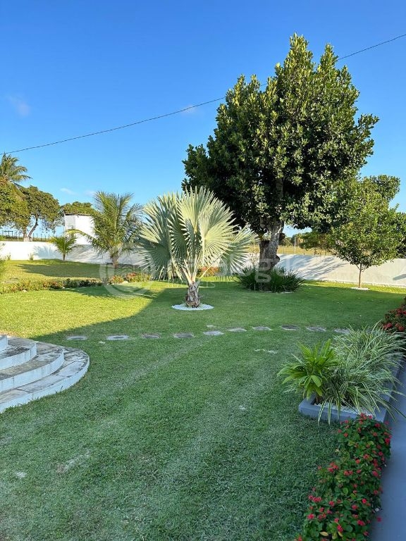 Sítio em Monte Alegre/RN 10,8 Hectares Porteira Fechada