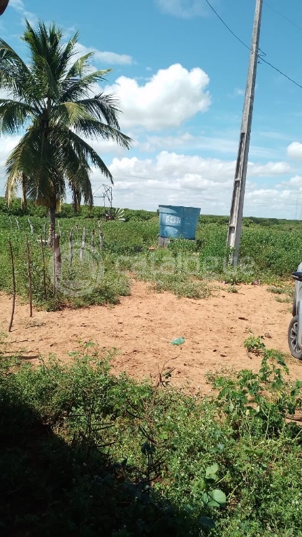 Fazenda em Afonso Bezerras 562 Ha