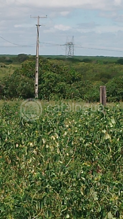 Fazenda em Afonso Bezerras 562 Ha