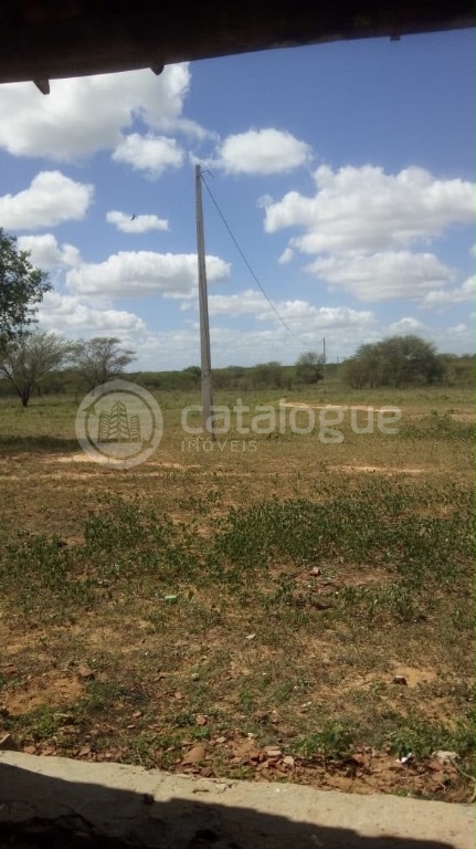 Fazenda em Afonso Bezerras 562 Ha