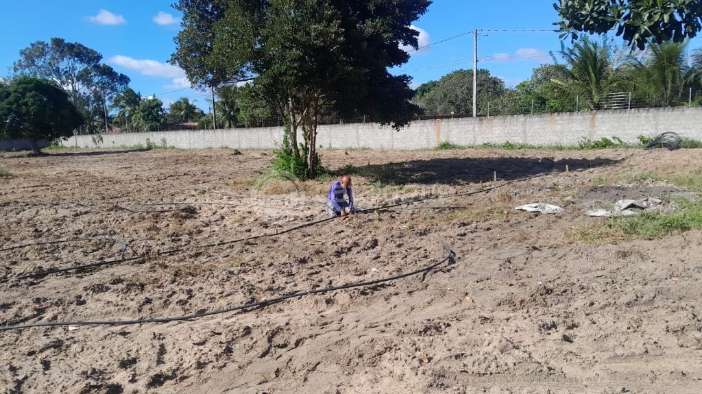 Terreno no centro de macaiba