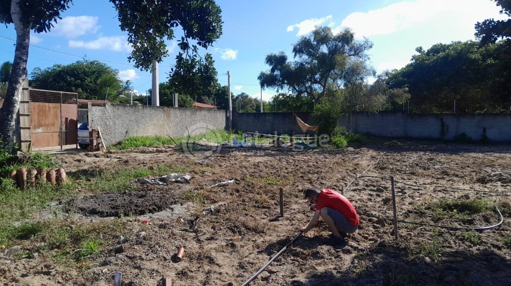 Terreno no centro de macaiba