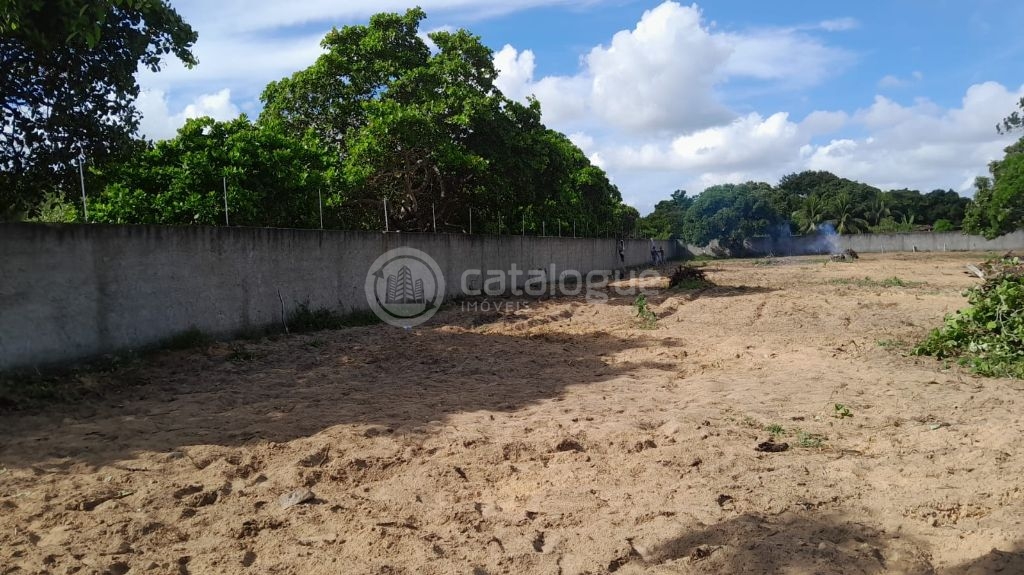 Terreno no centro de macaiba