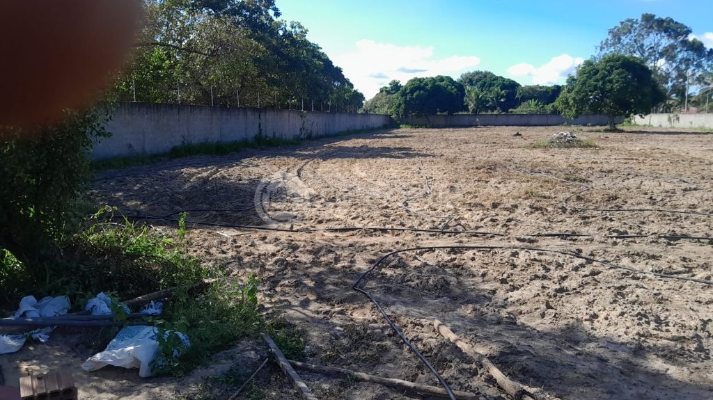 Terreno no centro de macaiba