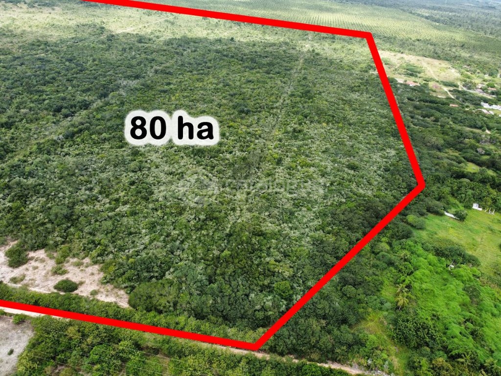 Excelente área em macaíba - 80ha