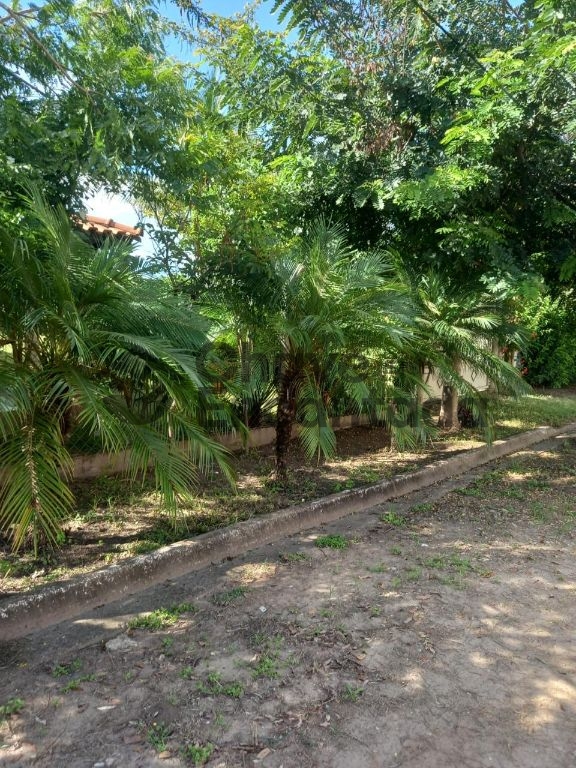 Rancho em buritama
