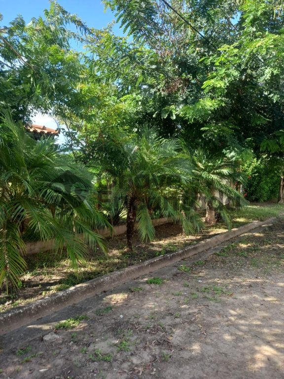 Rancho em buritama