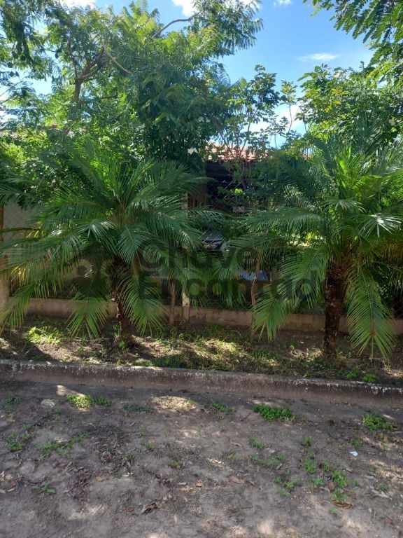 Rancho em buritama