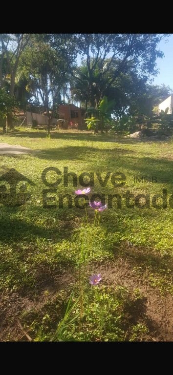 Venda de casas / chácara na cidade de buritama