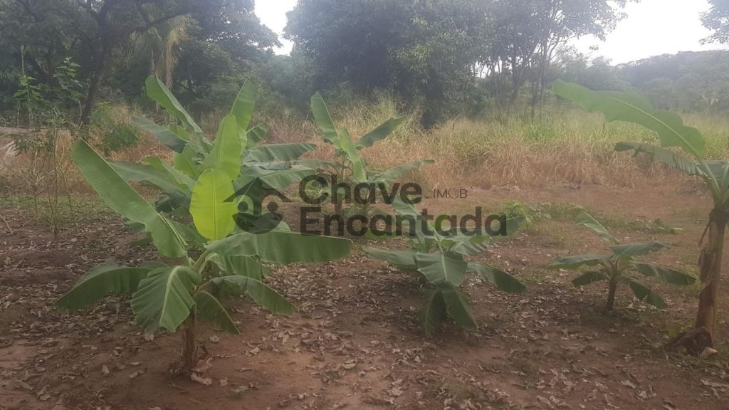Venda de casas / chácara na cidade de buritama