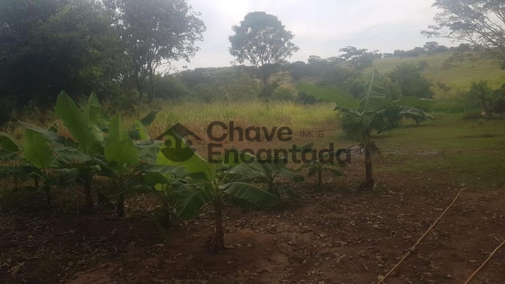 Venda de casas / chácara na cidade de buritama