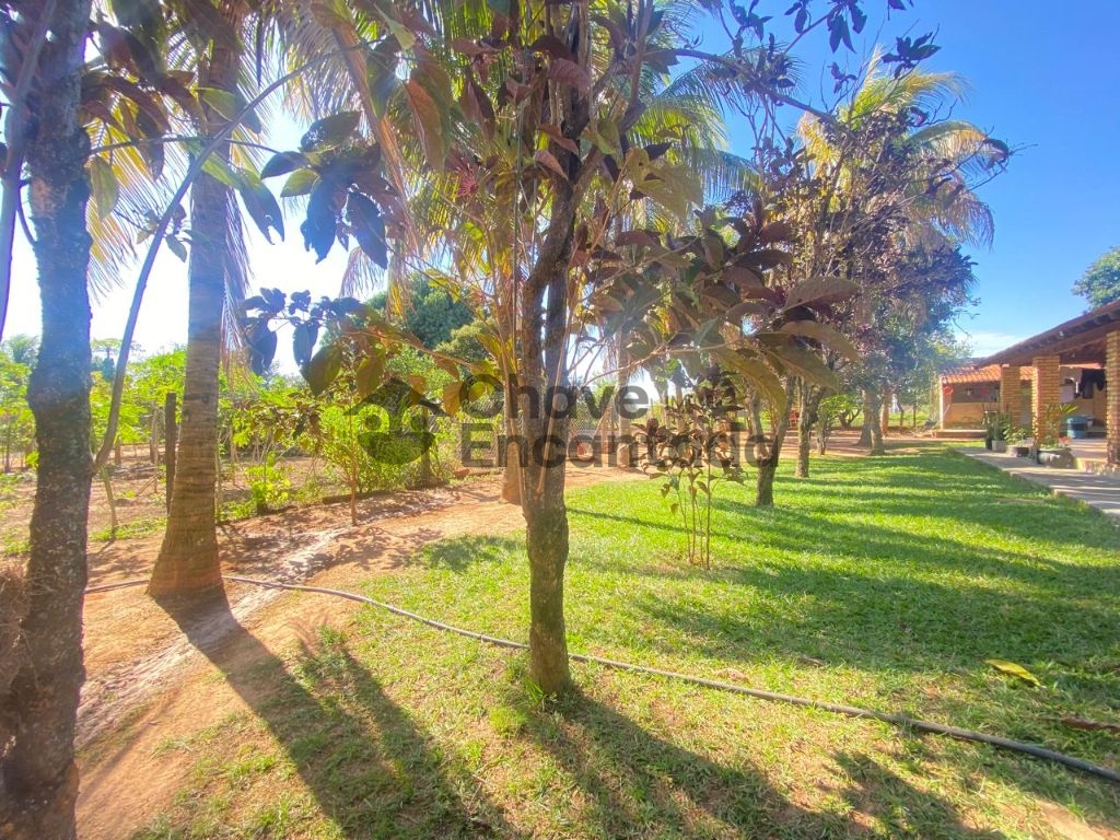 Venda de Rural / Chácara na cidade de Birigui
