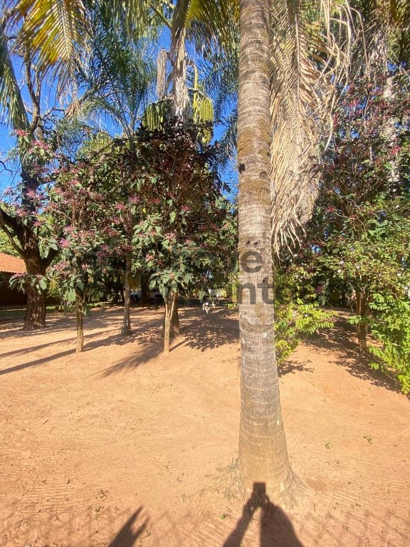 Venda de Rural / Chácara na cidade de Birigui