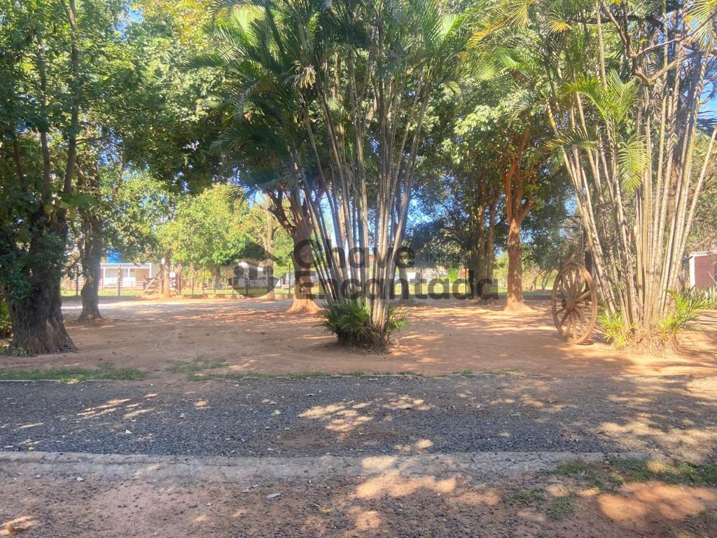 Venda de Rural / Chácara na cidade de Birigui